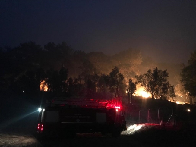 Muğla'da orman yangını