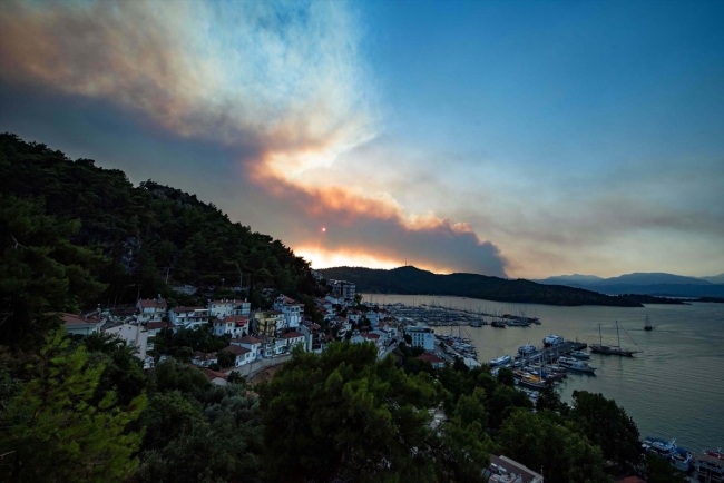 Muğla'da orman yangını