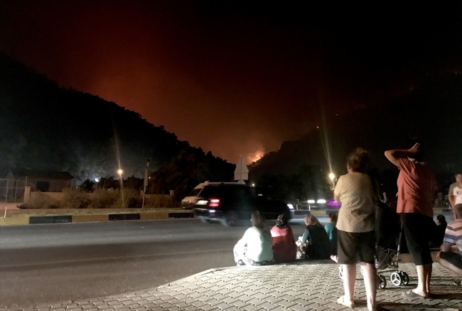 Muğla'da orman yangını