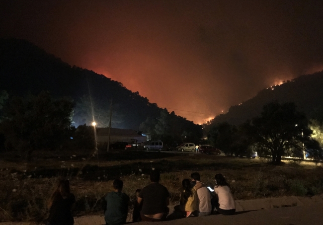 Muğla'da orman yangını