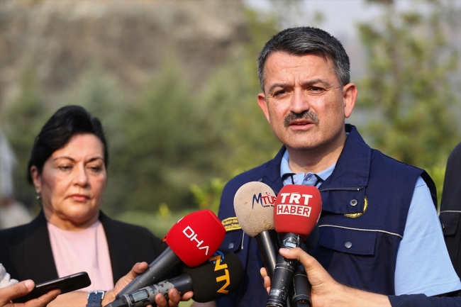 Muğla'da orman yangını