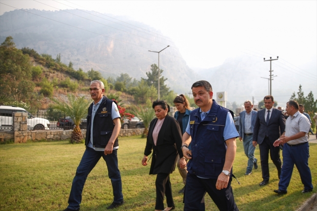 Muğla'da orman yangını