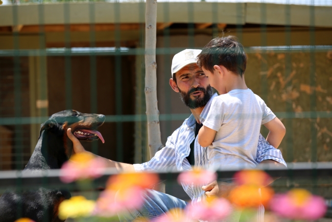 "Her şey para değil" deyip köye yerleştiler