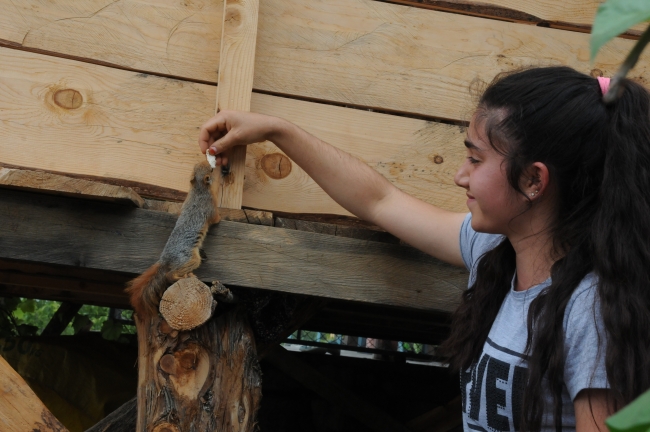 Ormanda buldukları sincap yavrusu ailenin yeni üyesi oldu