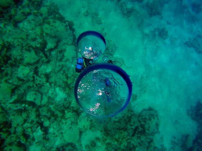Zengin su altı dünyasıyla dalgıçların vazgeçilmez noktası: Kaş