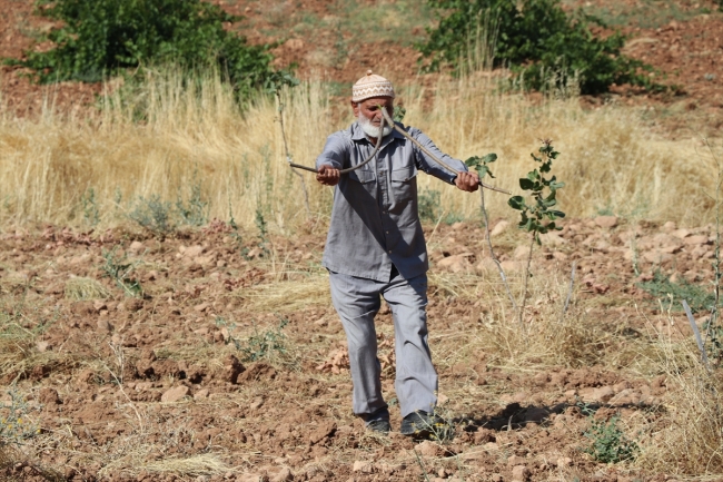 Elinde çubuklarla geziyor, köyleri suya kavuşturuyor
