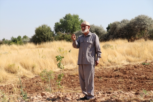 Elinde çubuklarla geziyor, köyleri suya kavuşturuyor
