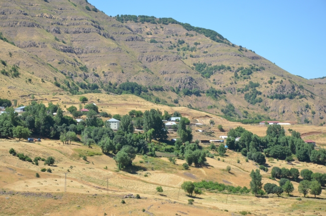 Terörden temizlenen köylerine dönüp üretime geçtiler