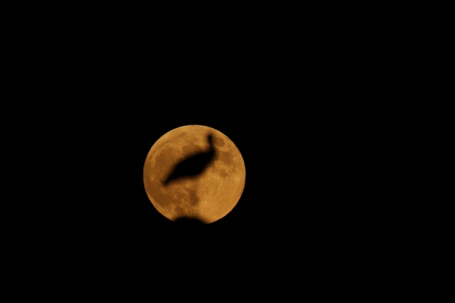 ''Parçalı Ay Tutulması'' gerçekleşti