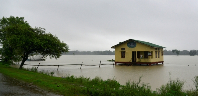 Hindistan'da sel 67 can aldı