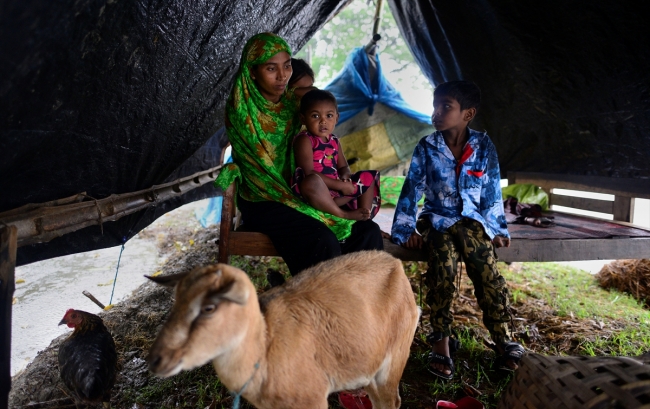 Hindistan'da sel 67 can aldı