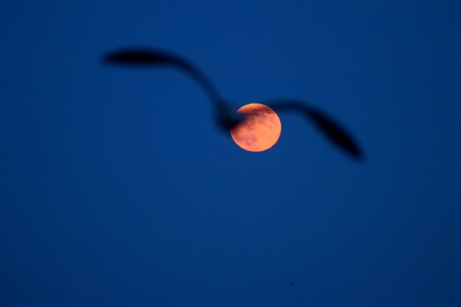 ''Parçalı Ay Tutulması'' gerçekleşti