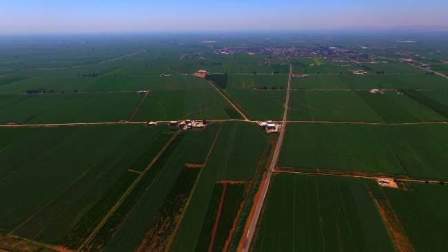 GAP ile Harran Ovası'nın ekonomiye katkısı arttı