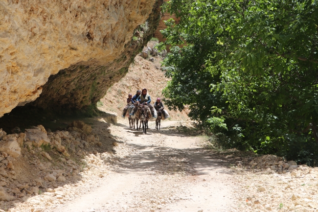İç Anadolu'nun saklı güzelliği: Gödet Kanyonu