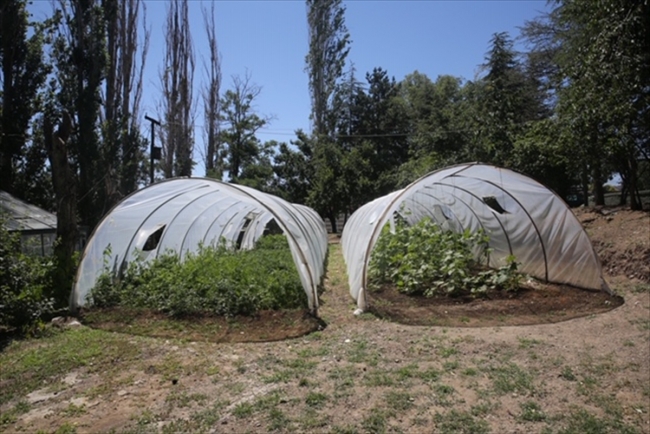 MSB'de "sıfır atık" uygulaması ve eğitimi