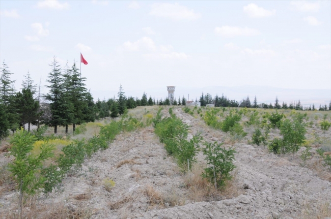 MSB'de "sıfır atık" uygulaması ve eğitimi