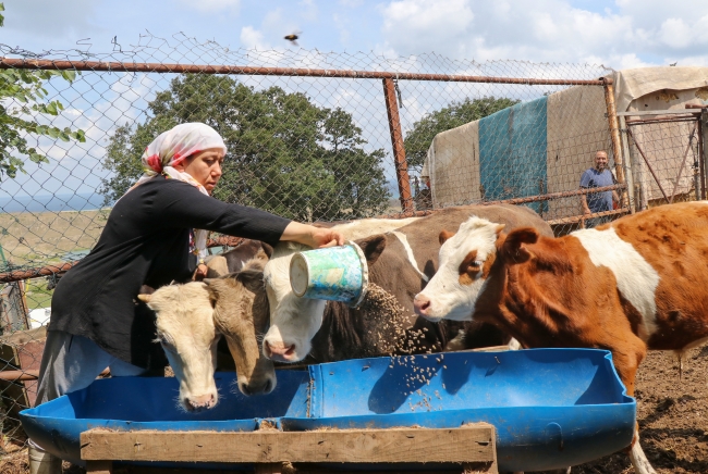 Şehir yaşamından bunalan çift, köyüne döndü