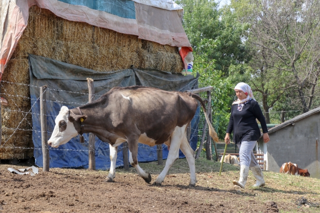 Şehir yaşamından bunalan çift, köyüne döndü
