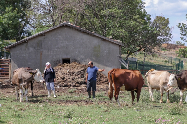 Şehir yaşamından bunalan çift, köyüne döndü