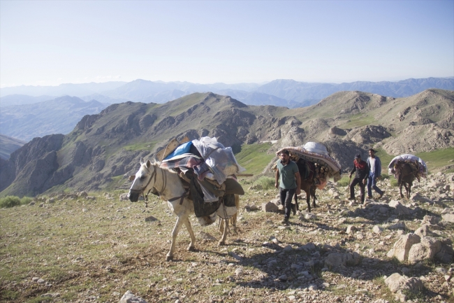 Göçerlerin atlarla zorlu yayla yolculuğu