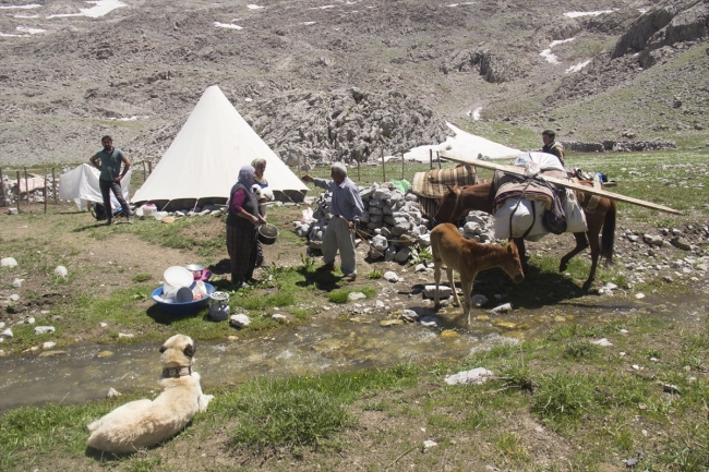 Göçerlerin atlarla zorlu yayla yolculuğu
