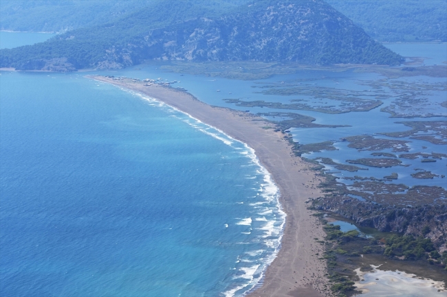 İztuzu Plajı'nda caretta caretta hassasiyeti