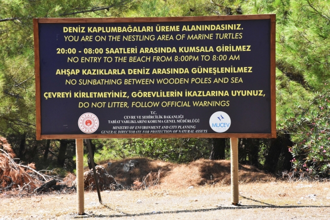 İztuzu Plajı'nda caretta caretta hassasiyeti