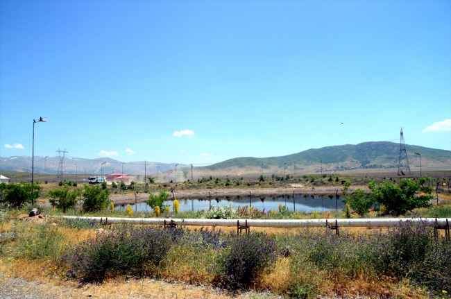 Çöpten üretilen elektrikle 3 bin ev aydınlanıyor