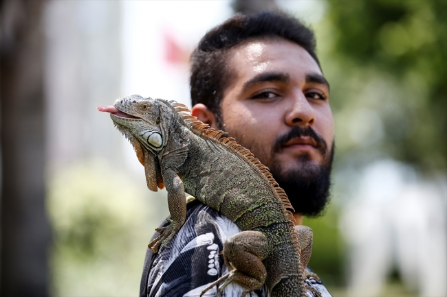 Onların en yakın dostu hayvanları