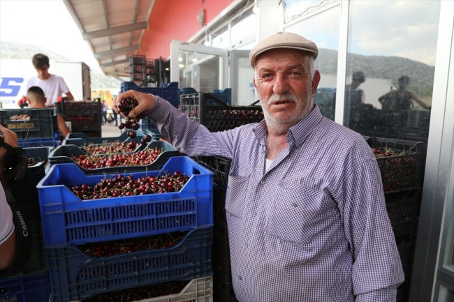 Toroslar'dan Rusya'ya kiraz ihracatı