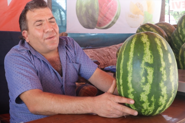 Merzifon'un neşeli karpuzcusu