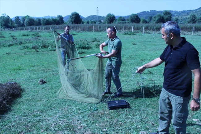 Saka kuşu avlayan kişiye 26 bin lira ceza