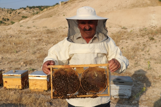 Tescilli Pervari balı üreticisinin yüzünü güldürecek