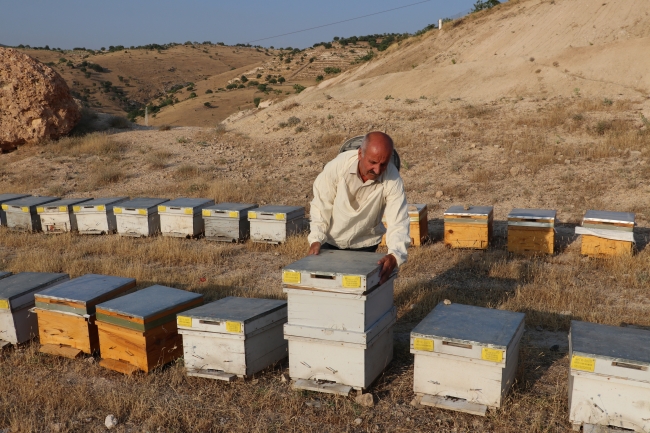 Tescilli Pervari balı üreticisinin yüzünü güldürecek