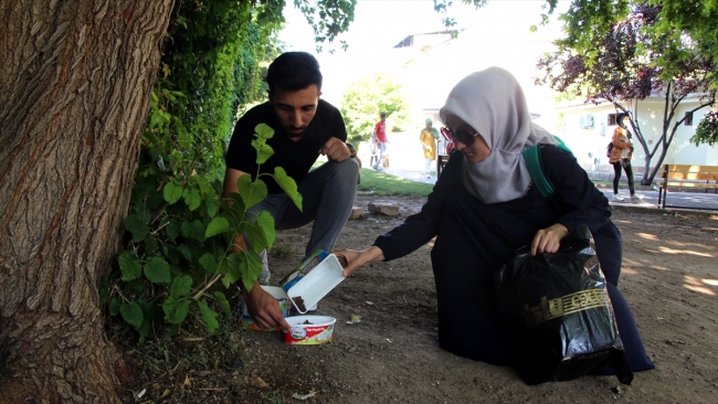 Harçlıklarıyla sokak hayvanlarını doyuruyorlar