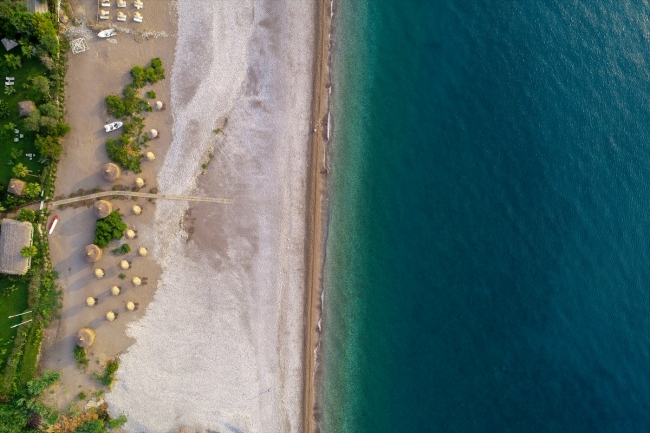 Carettaların korunması için saatlerce nöbet tutuyorlar