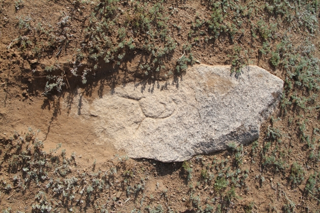 Moğolistan'da Türk kağanlığına ait damgalar bulundu