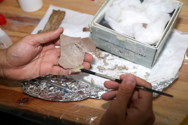 Çankırı'da 8,5 milyon yıllık deve kuşu yumurtası bulundu