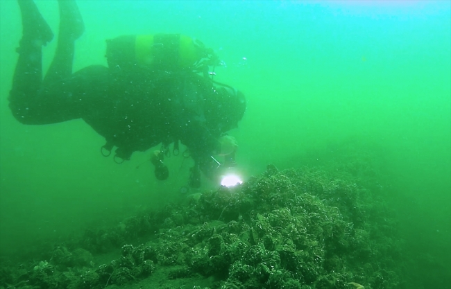 Marmara Depremi'nin izlerini su altında görüyorlar