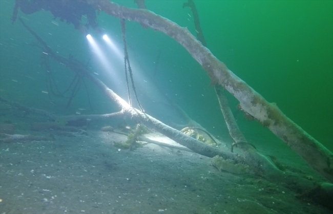 Marmara Depremi'nin izlerini su altında görüyorlar