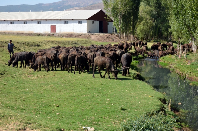 Devlet desteğiyle hayalindeki tesisi kurdu