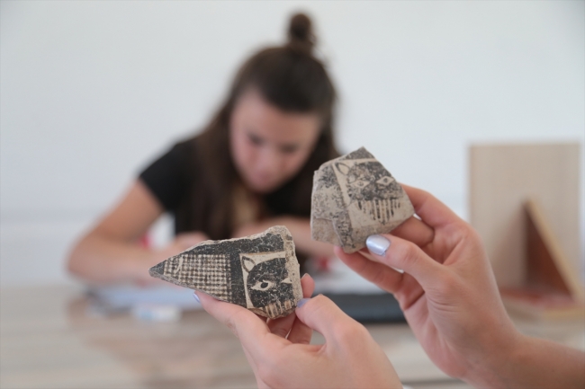 Domuztepe'deki iskan, Göbeklitepe'den bin yıl sonra başlamış