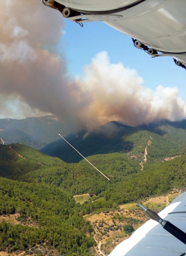 İzmir Urla'da orman yangını