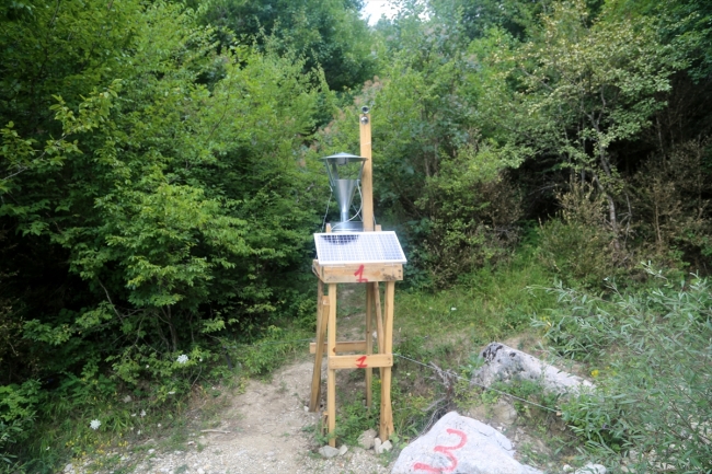 Ormanlardaki şimşir güvelerine ışıklı tuzak