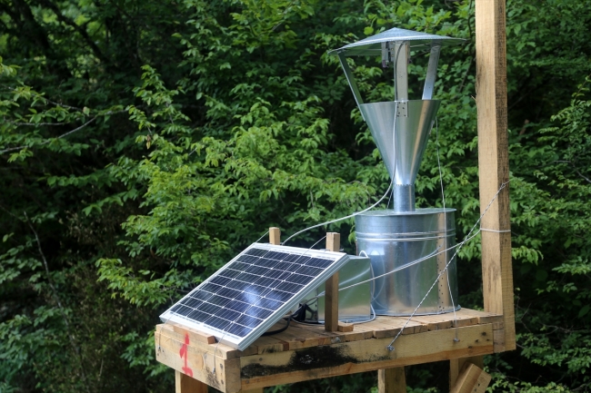 Ormanlardaki şimşir güvelerine ışıklı tuzak