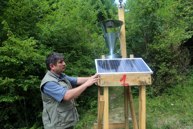 Ormanlardaki şimşir güvelerine ışıklı tuzak