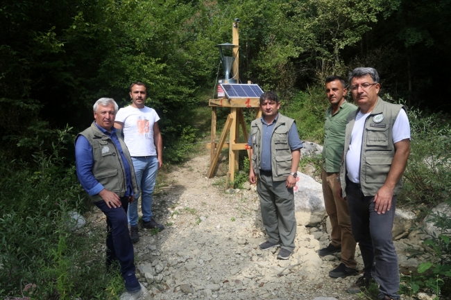 Ormanlardaki şimşir güvelerine ışıklı tuzak