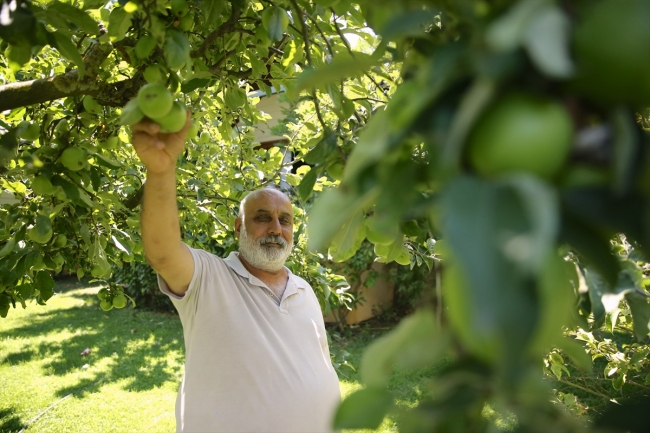 Kayalık araziyi ormana dönüştürdü