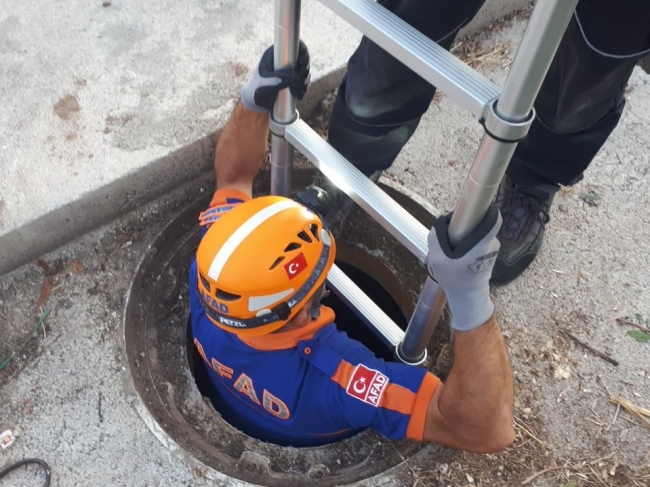 Adana'da rögardan düşen köpek yavruları kurtarıldı