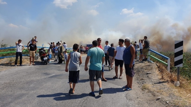 Edremit sahilinde yangın